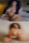 Swingers Williamsport